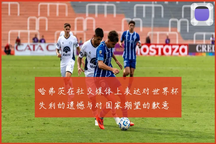 哈弗茨在社交媒体上表达对世界杯失利的遗憾与对国家期望的歉意