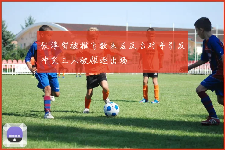 张淳智被推飞数米后反击对手引发冲突三人被驱逐出场