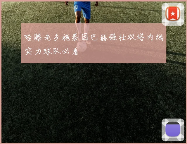 哈滕老乡施泰因巴赫强壮双塔内线实力球队必看