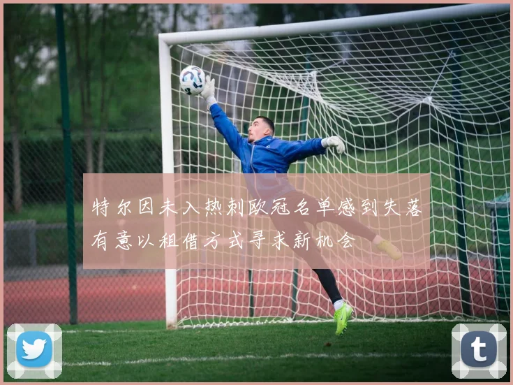 特尔因未入热刺欧冠名单感到失落有意以租借方式寻求新机会