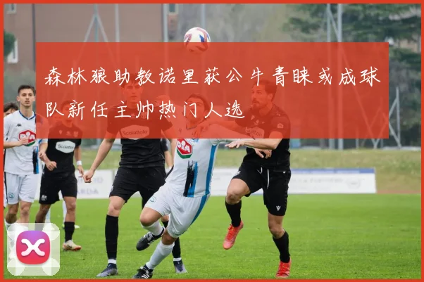 森林狼助教诺里获公牛青睐或成球队新任主帅热门人选